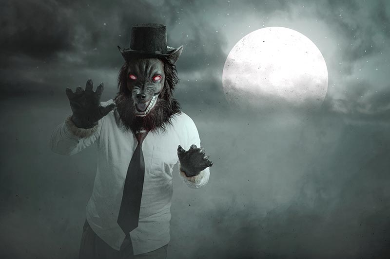 Debunking Digital Marketing Myths