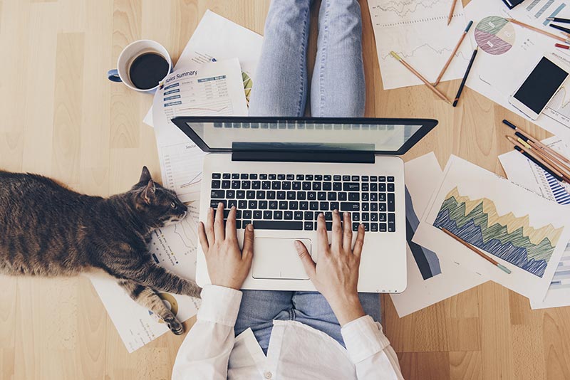Virtual backgrounds to spice up your WFH