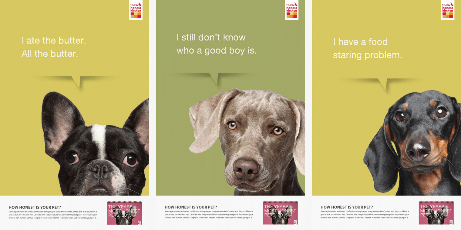HonestKitchen_PetCalendar_rectangle_1_2x
