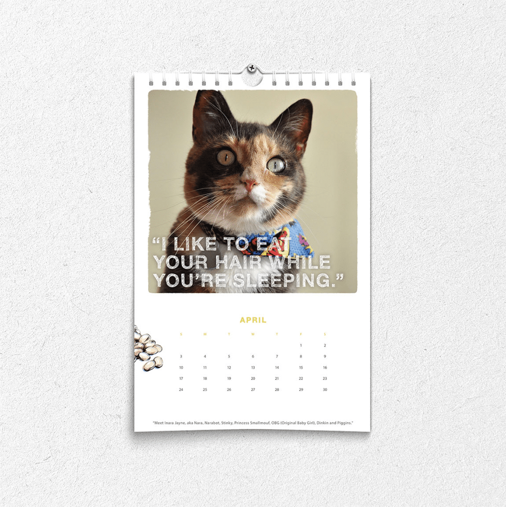 HonestKitchen_PetCalendar_square_1_2x