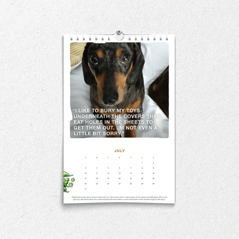 HonestKitchen_PetCalendar_square_2_2x