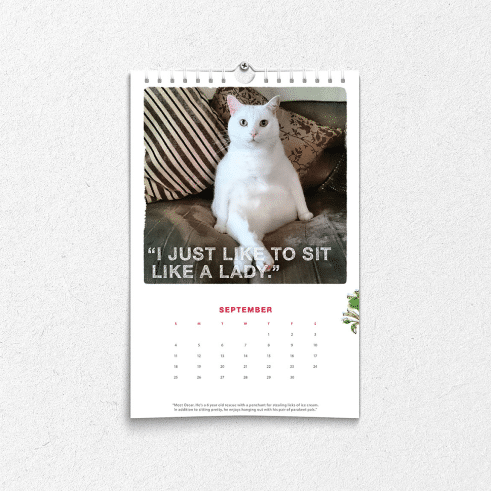 HonestKitchen_PetCalendar_square_3_2x