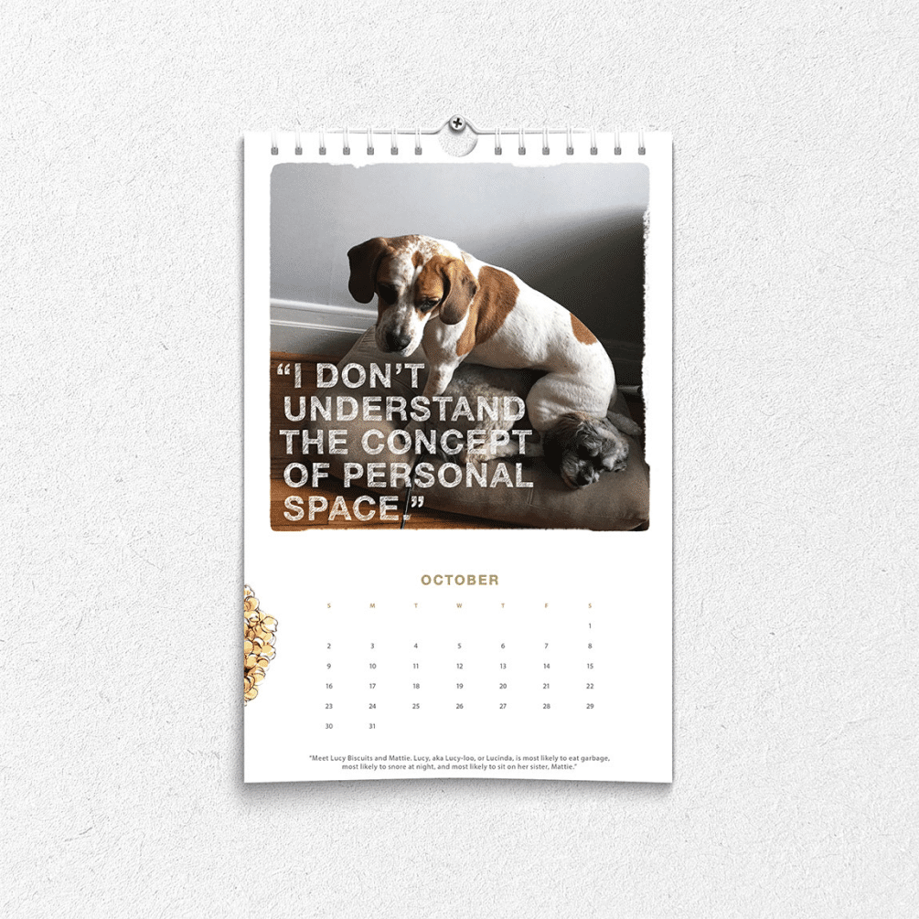HonestKitchen_PetCalendar_square_4_2x