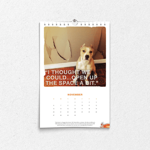HonestKitchen_PetCalendar_square_5_2x