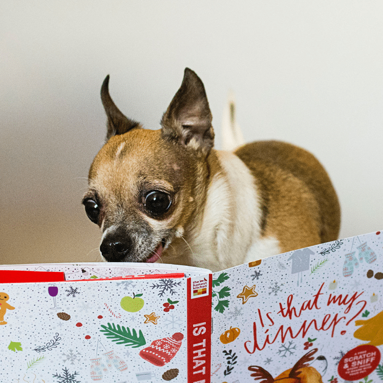 HonestKitchen_ScratchNSniff_square_1_2x