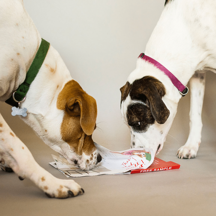 HonestKitchen_ScratchNSniff_square_2_2x