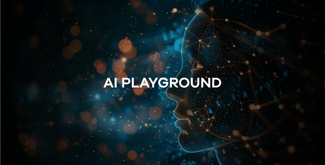 AI Playground: DeepSeek